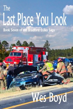 Last Place You Look book cover