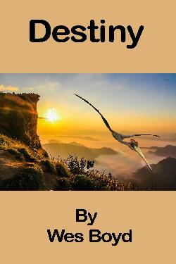 Destiny book cover